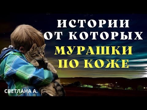Видео: Мистические истории о животных/ Мистические истории/Страшные истории / Деревенские страшилки/