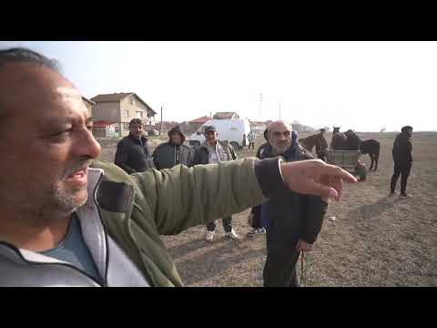 Видео: Тодоровден  хърлец