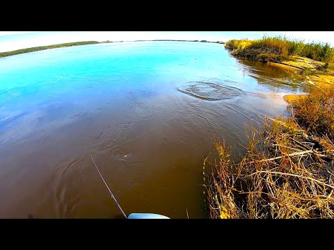 Видео: Подробности самой успешной рыбалки в сентябре! Невероятные результаты!