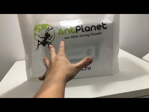 Видео: РАСПАКОВКА !!!МУРАВЬИНАЯ ФЕРМА Ant planet!!