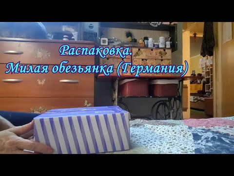 Видео: Милая обезьянка (Германия)