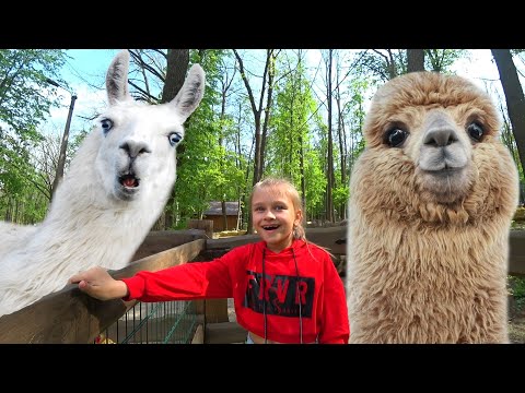 Видео: ВЛОГ ! ЗООПАРК Смешные верблюды и сальто от обезьяны!