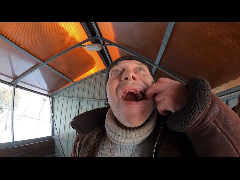 Видео: Следственный эксперимент. Пожиратели мяса'