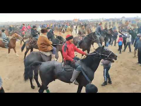 Видео: Көкпар 07 03 2024 ҚАРАҚАЛПАҚ ауылы АБАЙ КАСІПКЕР  ағамыздың көкпары