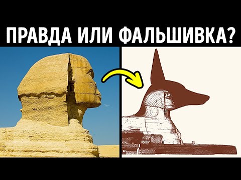 Видео: 90 фактов о мире сделают вас самым умным собеседником