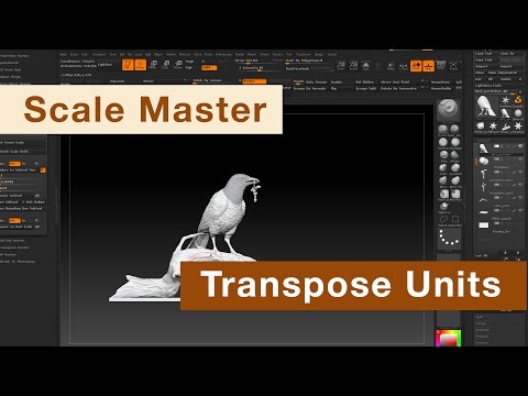 Видео: ZBrush Шпаргалка - 6: Размеры и ScaleMaster