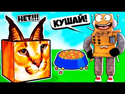 Видео: Я ПРИРУЧИЛ ШЛЁПУ! ЭВОЛЮЦИЯ ЖИЗНИ ШЛЁПЫ В РОБЛОКС! НУБ и ПРО ВИДЕО ROBLOX raise a floppa