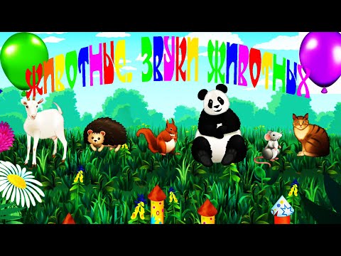 Видео: Животные для детей.  Как говорят животные.  Звуки животных.