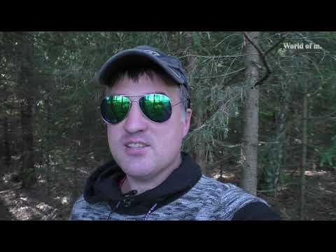 Видео: Поехали на озеро Бездонка мерить глубину