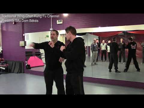 Видео: Семинар Доминика Бекеша Чи Сао 2019 «Уильям Чунг Вин Чун»
