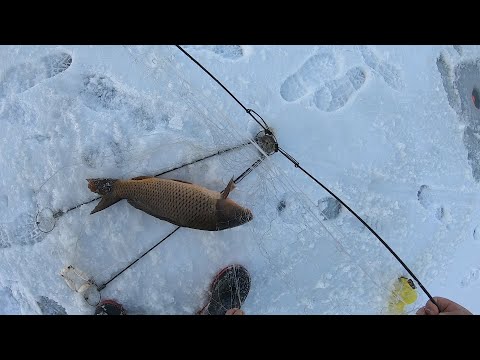 Видео: КАК ЖЕ Я ЕГО ДОЛГО ЖДАЛ!!! САЗАН НА ХАПУГИ... КТО ИЩЕТ ТОТ ВСЕГДА НАХОДИТ!!!