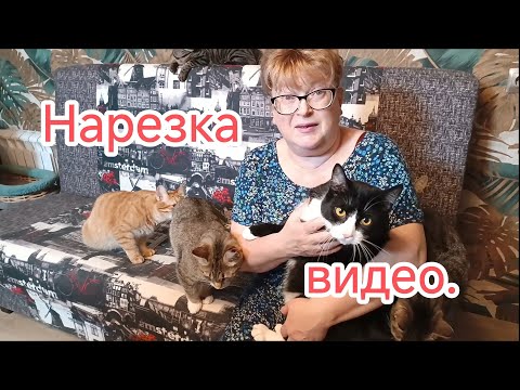 Видео: Нарезка видео. 