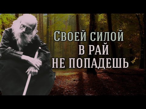 Видео: Кто спасётся в наше время? Никон Воробьёв