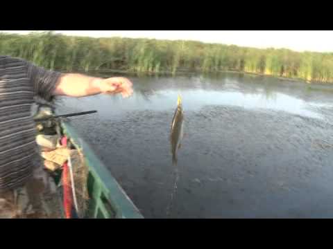 Видео: Рыболов эксперт. Вращающиеся блёсны