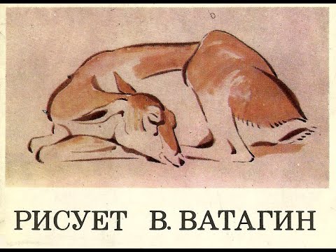 Видео: Рисунки Ватагина