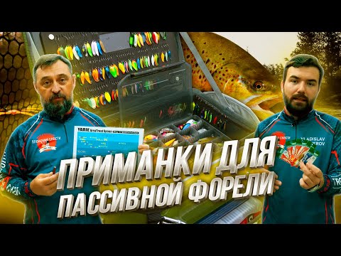 Видео: БЛЕСНЫ для ловли пассивной ФОРЕЛИ. Обзор ЛУЧШИХ колебалок из ЯПОНИИ.