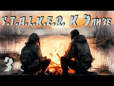 Видео: ☢ S.T.A.L.K.E.R.: К Элизе ☢ #3 Новый сюжетный мод! Продолжаем!