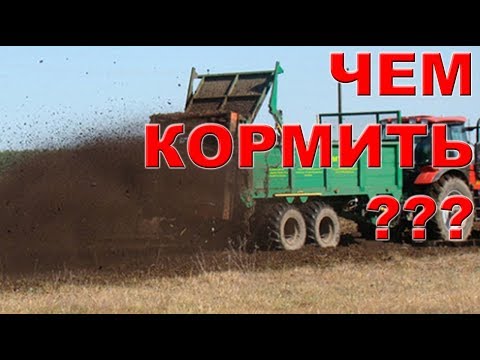 Видео: Какое удобрение вносить при посеве, а какое с осени ?
