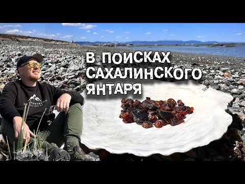 Видео: В поисках Сахалинского янтаря. Янтарное побережье. Быковские пороги.