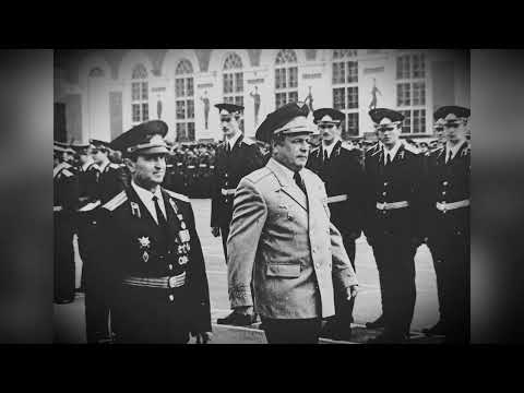 Видео: ВИФК