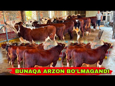 Видео: BUNAQA ARZON BO’LMAGAN EDI👍👍👍13 сентября 2025 г.