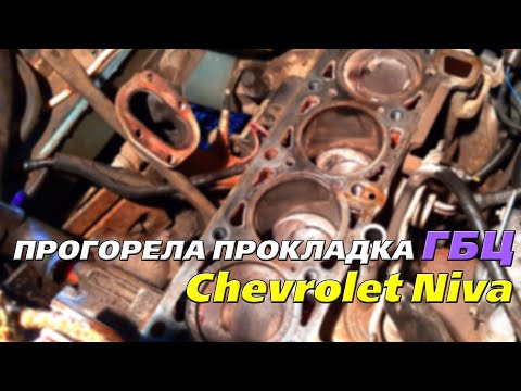 Видео: ЗРЯ ЗАМЕНИЛ ПРОКЛАДКУ ГБЦ? Chevrolet Niva (Bertone Edition)