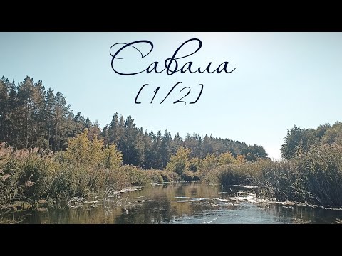 Видео: [1/2] Сплав по реке Савала осень 2025