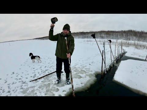 Видео: Ловля налима и язя на фитили и поставушки. Улов нас порадовал. Зимняя рыбалка на Крайнем Севере