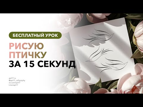 Видео: Рисование птички острым пером за 15 секунд. Урок по росчеркам