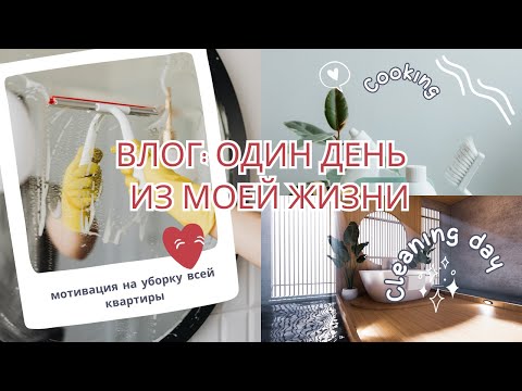 Видео: ВЛОГ: ОДИН ДЕНЬ ИЗ МОЕЙ ЖИЗНИ 🎀 мотивация на уборку всей квартиры, убирайся вместе со мной