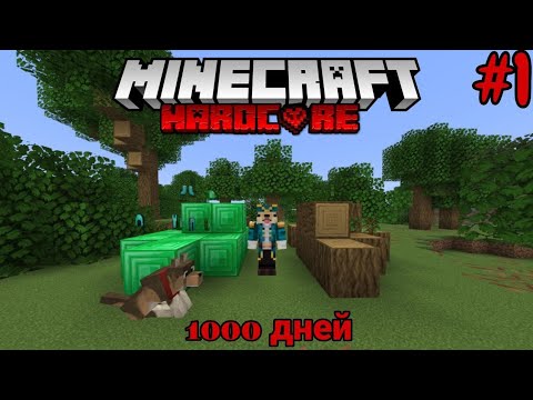 Видео: **1000 дней в Minecraft хардкоре с телефона #1** Деревня