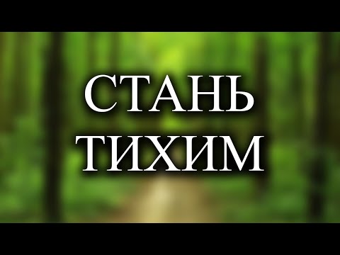Видео: Реальность проявится, когда успокоится ум
