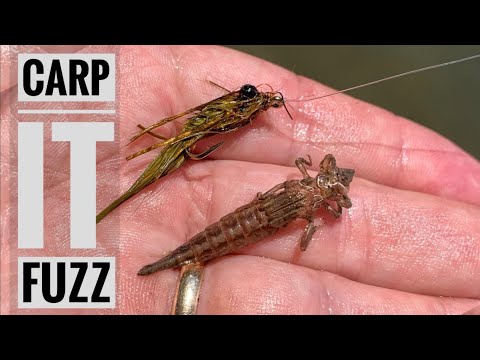 Видео: Вязание мушек: моя мушка для ловли карпа №1 — Carp-it-fuzz!