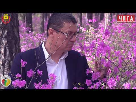 Видео: "Моя Чита"  Премьера песни о городе Чита