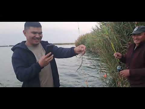Видео: Керемет демалыс Өсек көлі 