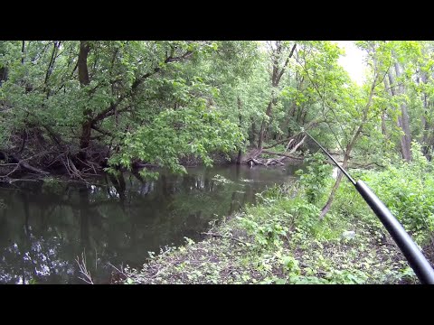 Видео: 9 мая 2024. По дебрям малой реки с мормышкой. Рыбалка на боковой кивок.