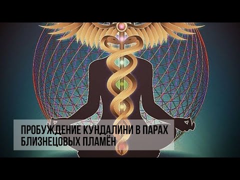 Видео: Лекция из моего Проекта о Близнецовых Пламенах #близнецовыепламена #близнецовоепламя #twinflame