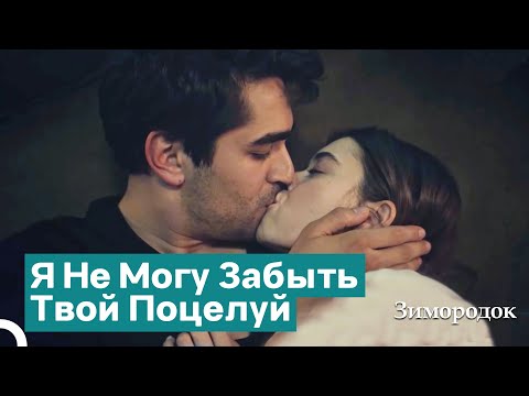 Видео: Некоторые Воспоминания Никогда Не Стираются | Зимородок