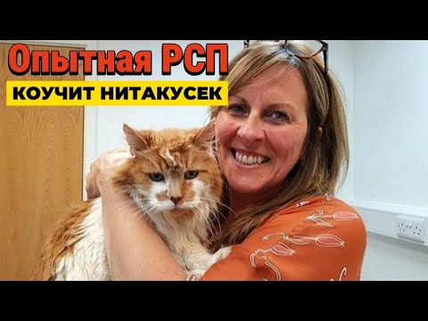 Видео: Опытная РСП даёт уроки будущим разведёнкам