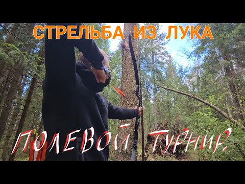 Видео: Лесная стрельба из лука по макетам животных.