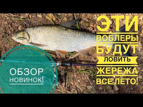 Видео: ЭТИ ВОБЛЕРЫ БУДУТ ЛОВИТЬ ЖЕРЕХА ВСЕ ЛЕТО!