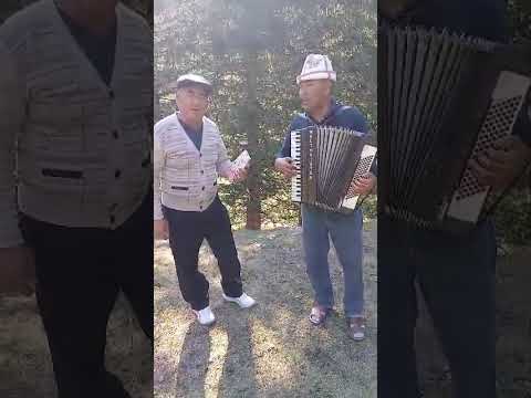 Видео: 23 августа 2025 г.