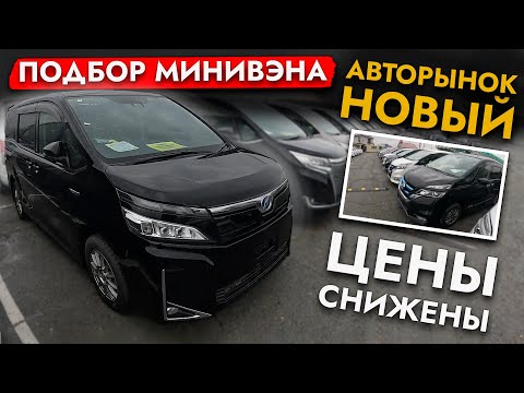 Видео: АВТОПОДБОР МИНИВЭНА❗️ ОБЗОР ЦЕН НА NOAH, VOXY, ESQUIRE И ДРУГИЕ АВТО❗️ МАЙ 2025