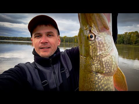 Видео: На веслах по реке 20 км. Трофейная щука на спиннинг. Сломался мотор ханкай.#рыбалка 