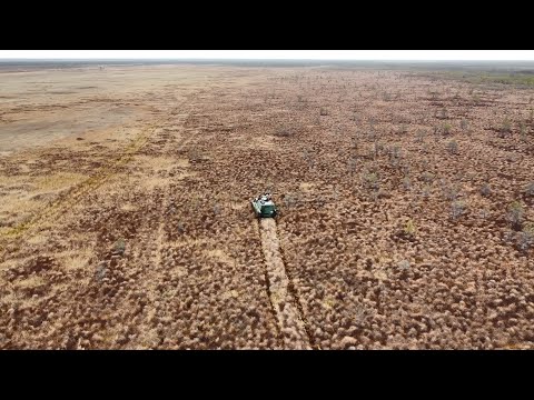 Видео: Васюганские болота - самое большое болото в мире! Путешествие на плавающем гусеничном вездеходе.