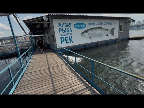 Видео: А почем у нас свежая рыбка?🐟 ЖИВАЯ РЫБА. Красноярск.