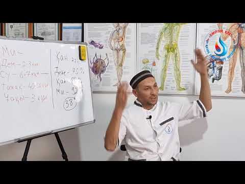 Видео: ҚАН ҚАЙДАН ШЫҒАДЫ?