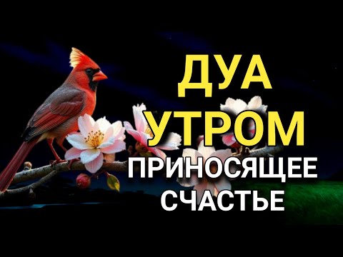 Видео: ✨ ДУА ДЛЯ ПРИВЛЕЧЕНИЯ СЧАСТЬЯ И УДАЧИ! 🔑✨🤲😊