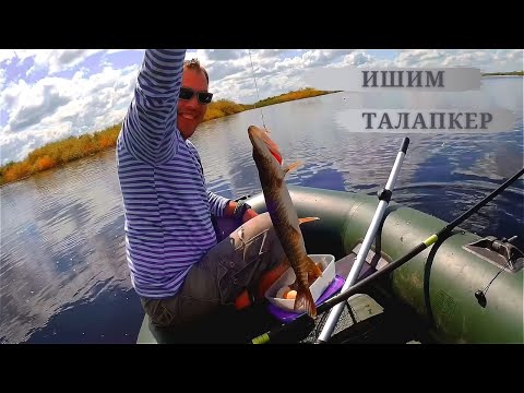 Видео: Рыбалка на реке Ишим за поселком Талапкер.