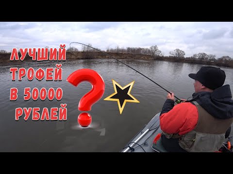 Видео: Лучший трофей в 50000 рублей
